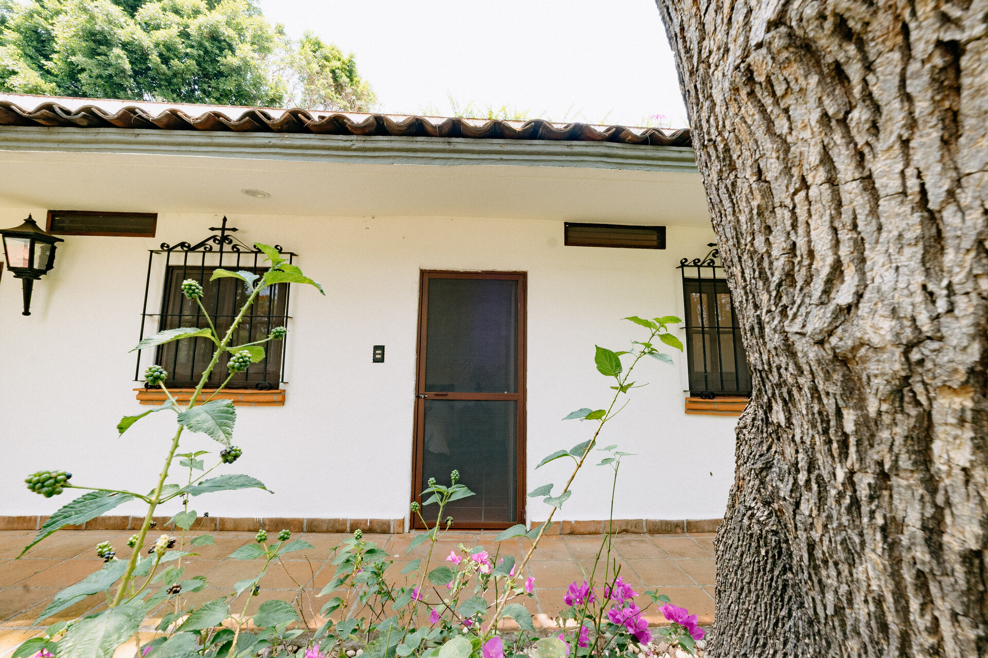 Bungalows — Quinta La Jolla