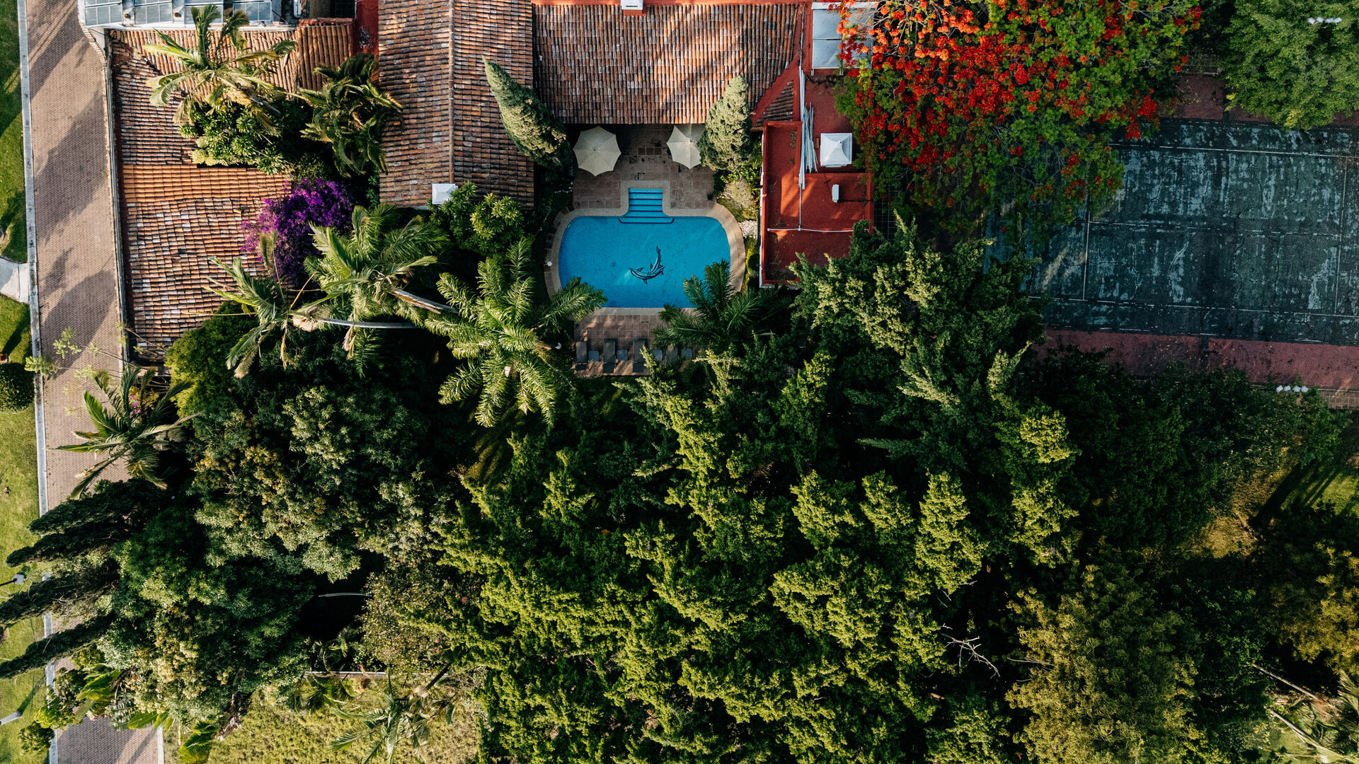 Exterior & Alberca — Quinta La Jolla