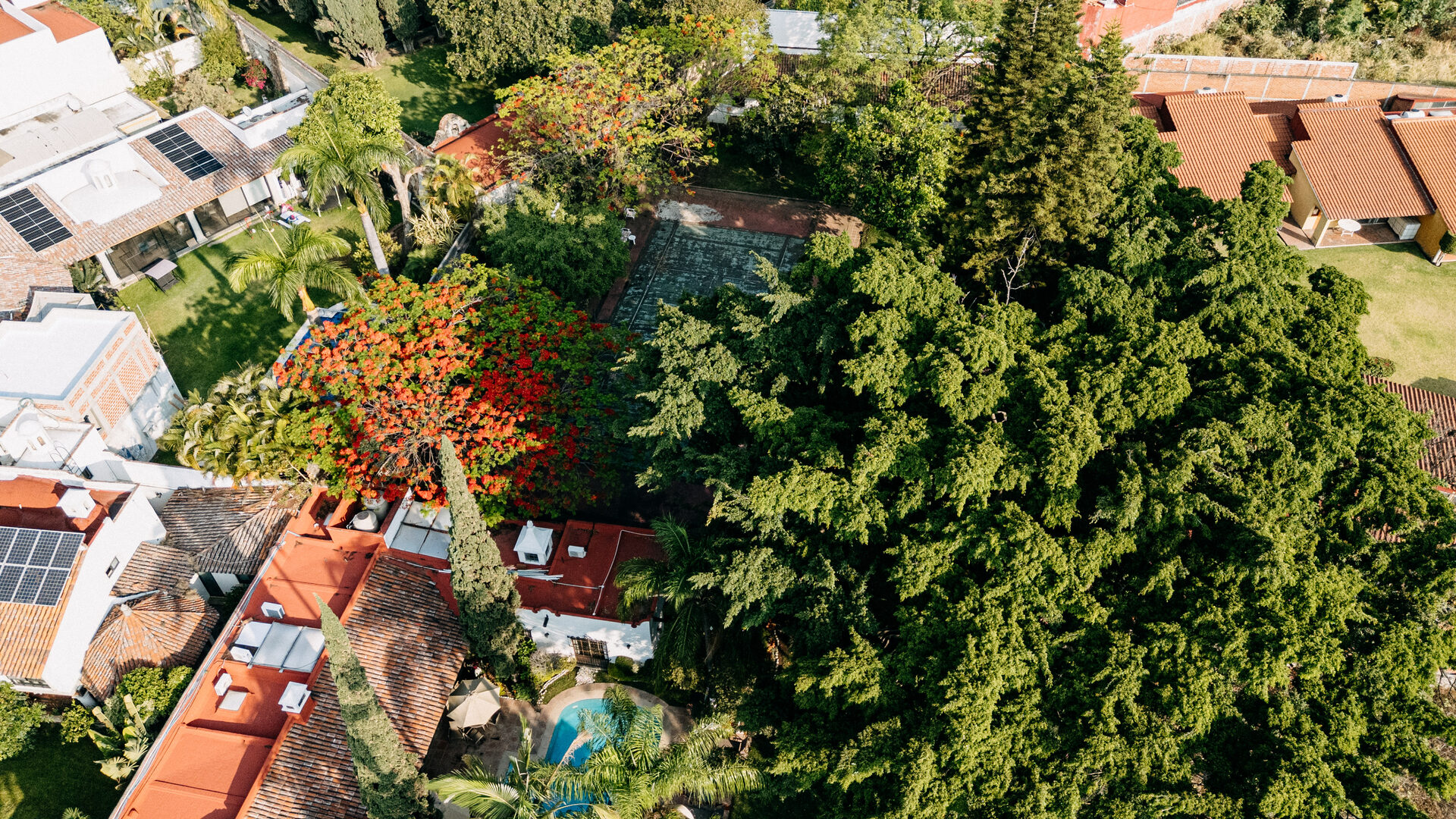 Vista aérea diurna del jardín de Quinta La Joya, con el arbolado maduro cubriendo el terreno y los techos de teja entre las copas