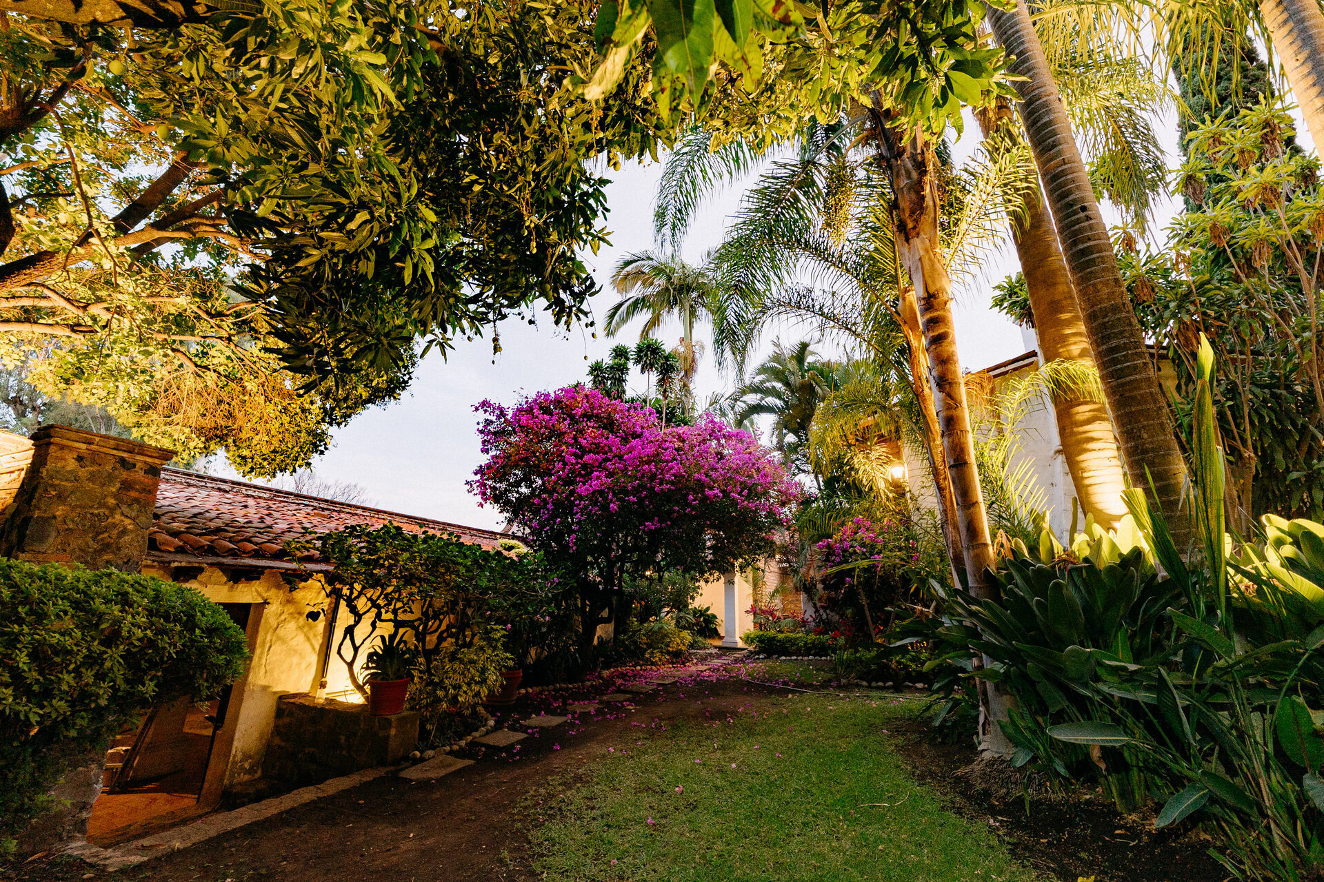 Camino del jardín de Quinta La Joya entre bugambilias en flor y palmeras, con luz de tarde