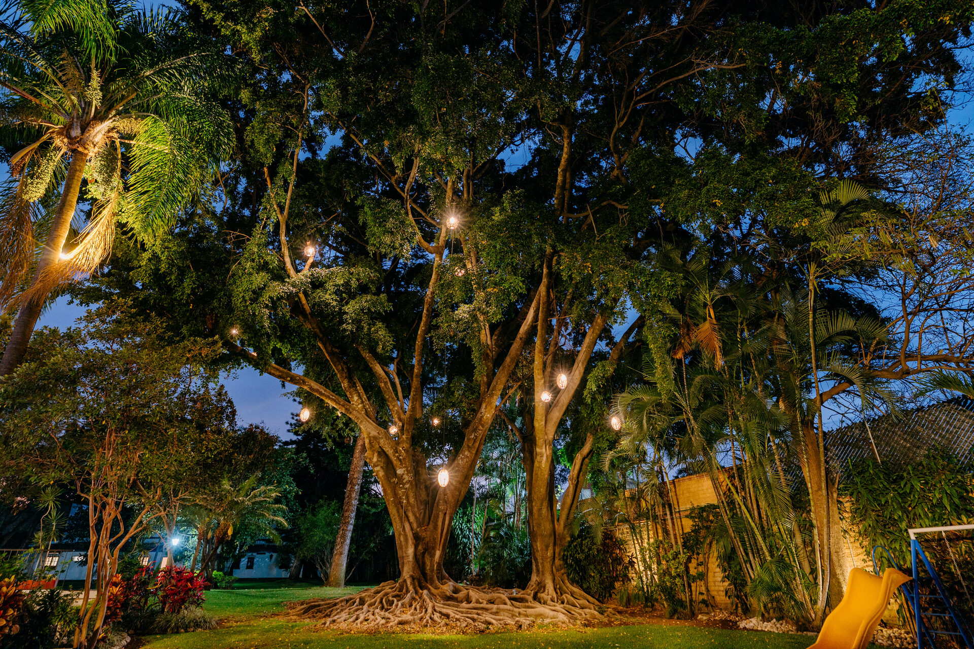 Exterior & Alberca — Quinta La Jolla
