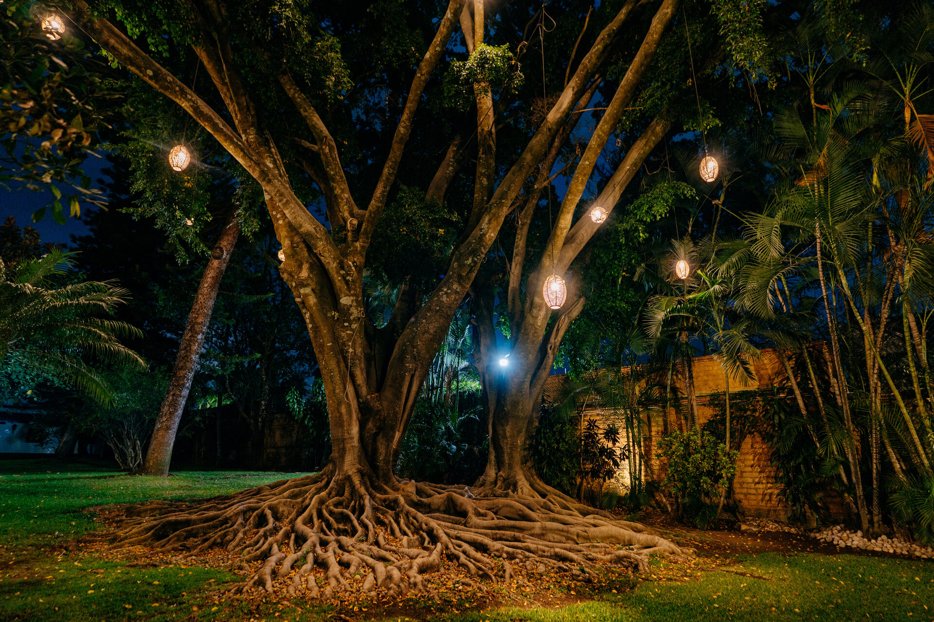 Exterior & Alberca — Quinta La Jolla