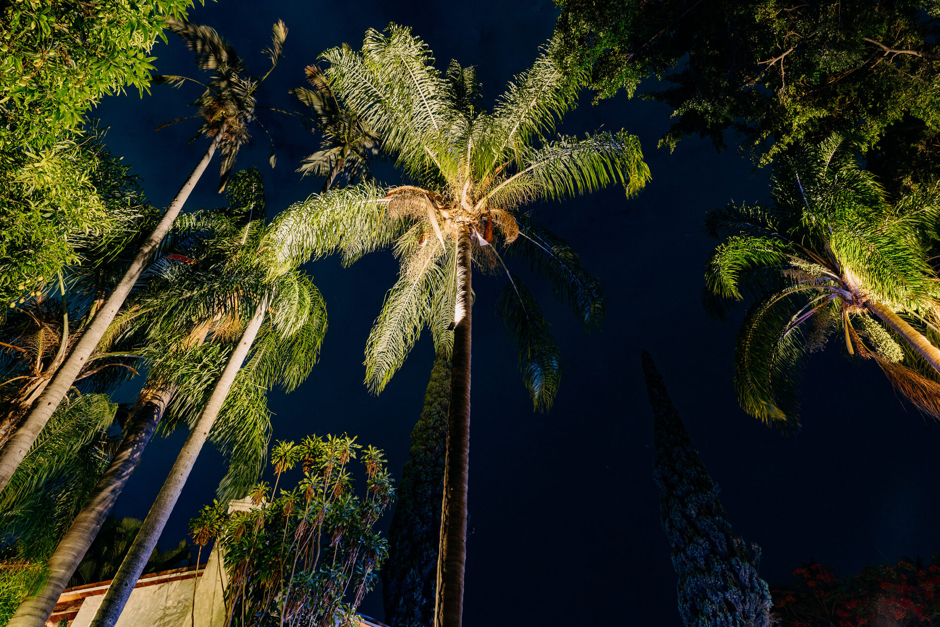 Exterior & Alberca — Quinta La Jolla
