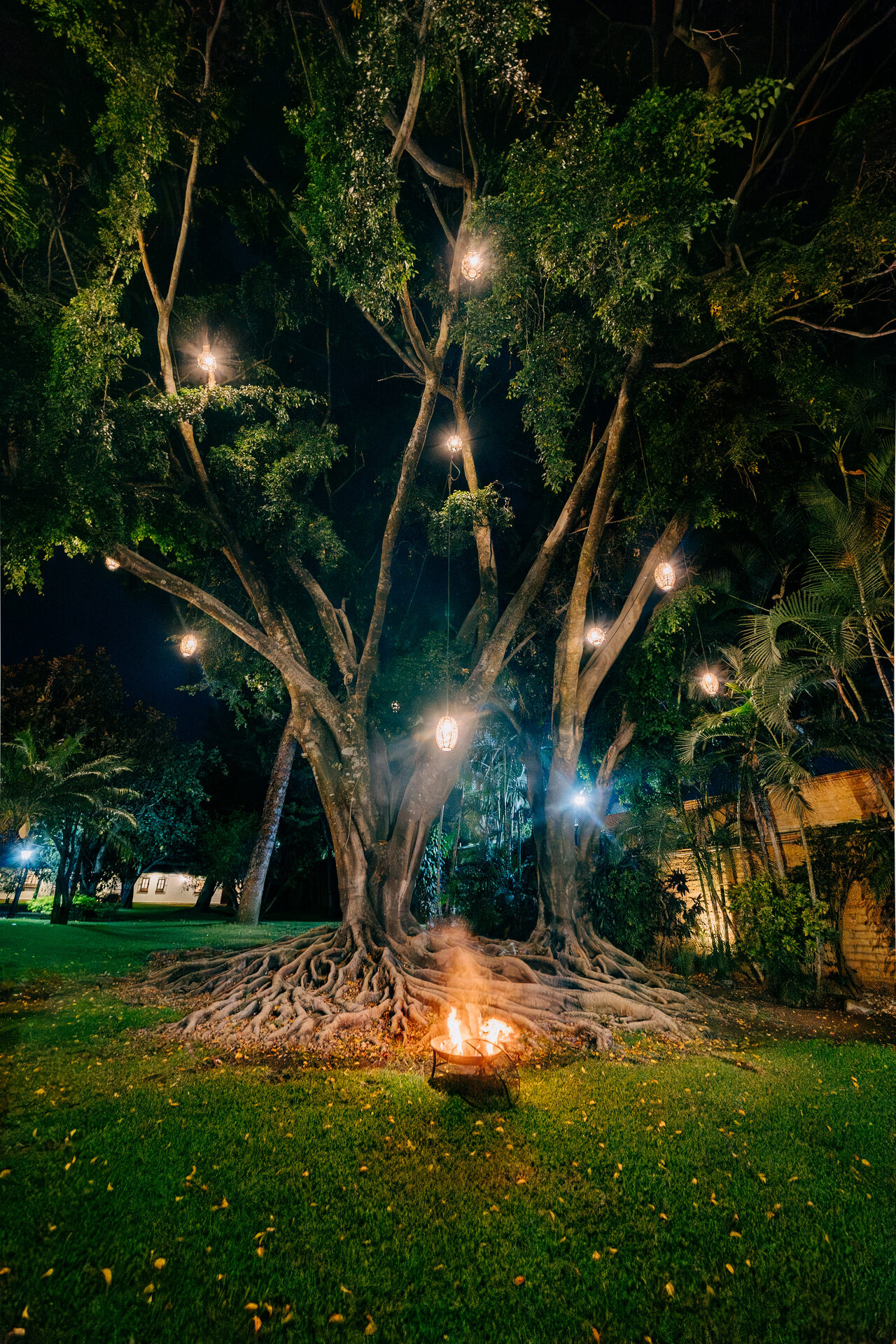 Exterior & Alberca — Quinta La Jolla