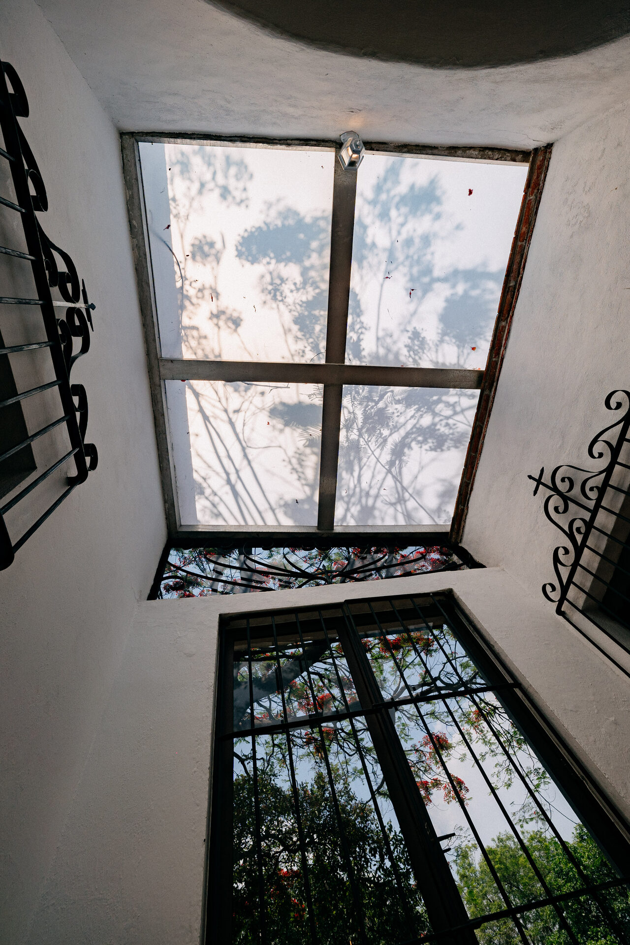 Vista hacia arriba de la bóveda de cristal del solarium de Quinta La Joya, con las copas de los árboles al otro lado